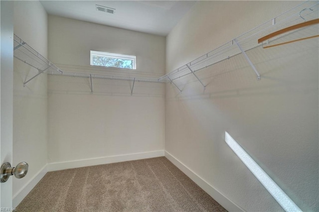 spacious closet with carpet flooring