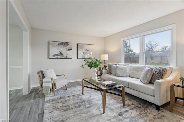 living room featuring hardwood / wood-style flooring