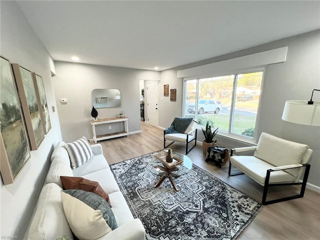 living room featuring wood-type flooring