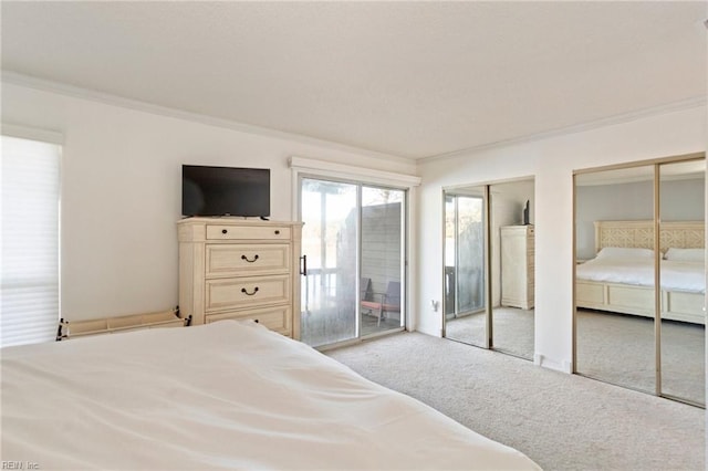 carpeted bedroom featuring access to outside, multiple closets, and ornamental molding