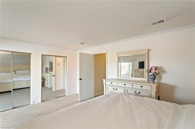 carpeted bedroom with multiple closets, crown molding, and a textured ceiling