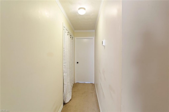 corridor with light carpet and ornamental molding