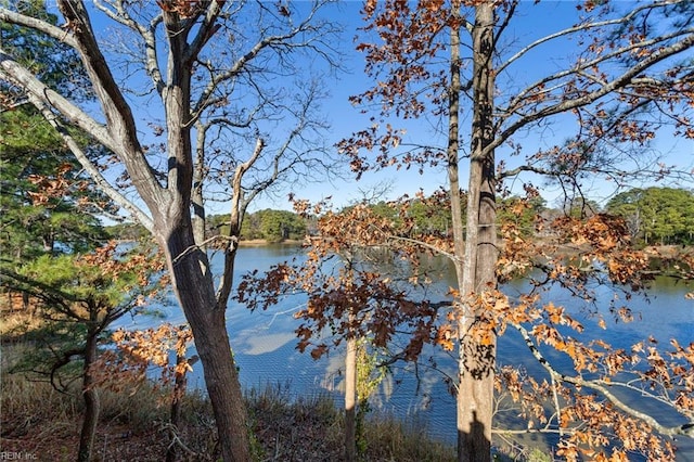 water view