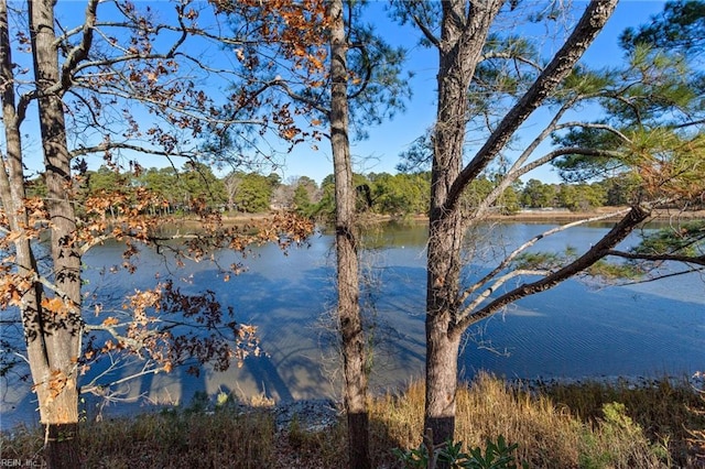 view of water feature