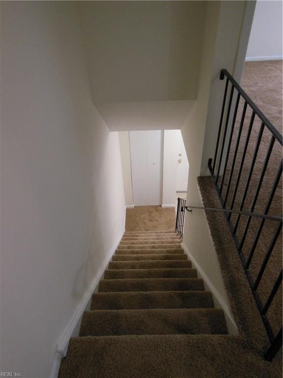 stairway featuring carpet flooring