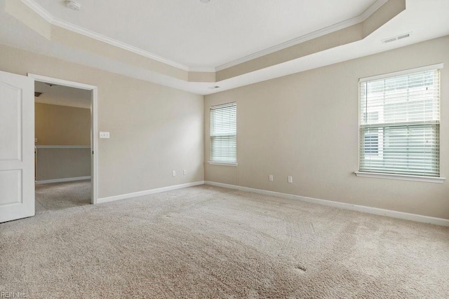 carpeted spare room featuring a tray ceiling, crown molding, and a healthy amount of sunlight