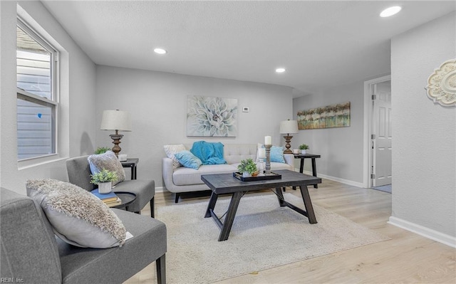 living room featuring light wood-type flooring