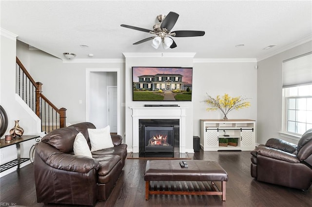 living room featuring dark hardwood / wood-style flooring, ceiling fan, and crown molding