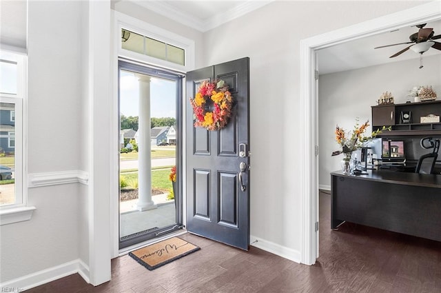 entryway featuring dark hardwood / wood-style floors, ceiling fan, and crown molding