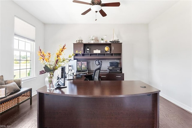 office area with dark hardwood / wood-style floors and ceiling fan