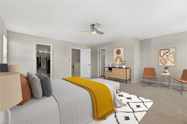 carpeted bedroom featuring ceiling fan, a walk in closet, and a closet