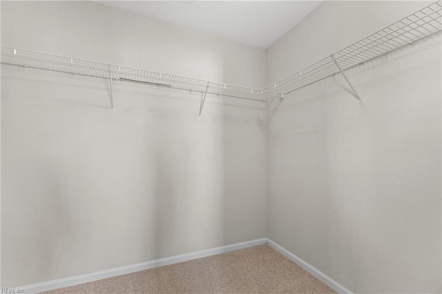 spacious closet featuring carpet