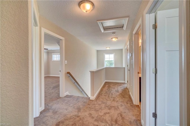 hallway featuring light carpet and a healthy amount of sunlight