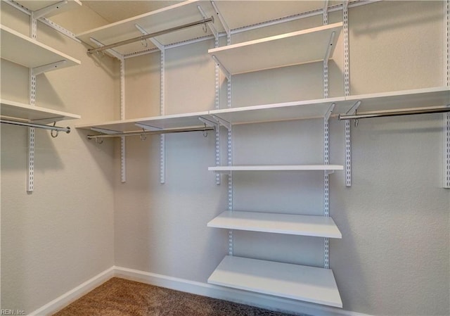 walk in closet featuring carpet floors