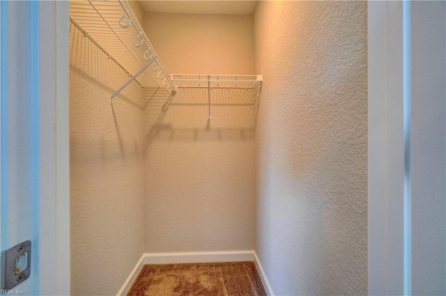 walk in closet with carpet