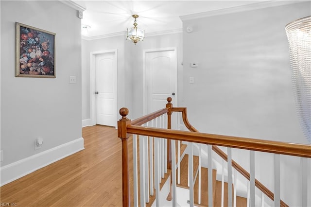 hall with a notable chandelier, light hardwood / wood-style floors, and crown molding