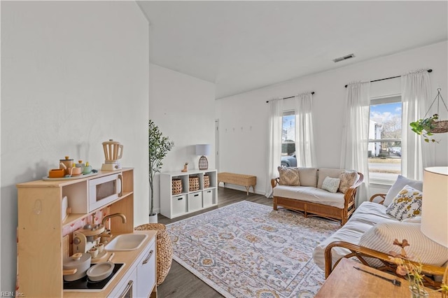 living room featuring sink and dark wood-type flooring