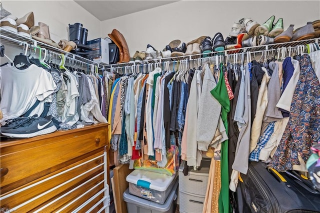 view of spacious closet