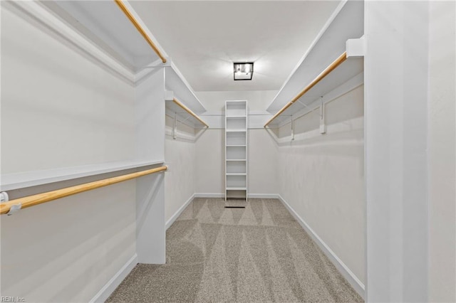 spacious closet featuring light colored carpet