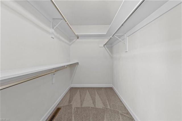 walk in closet featuring carpet flooring