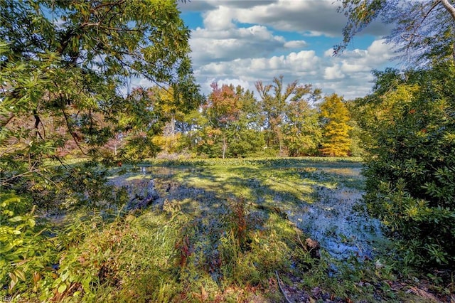 view of nature with a water view