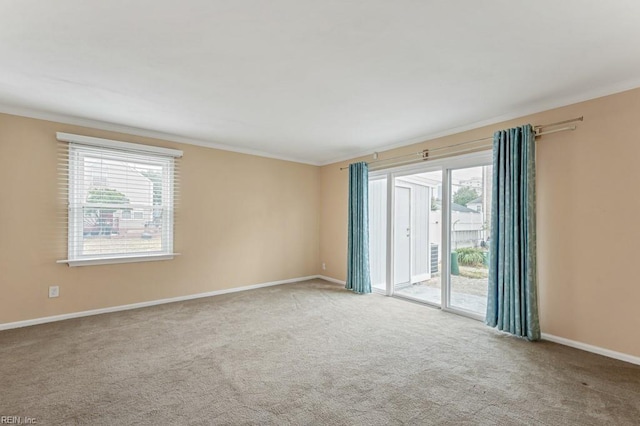 carpeted empty room featuring a wealth of natural light