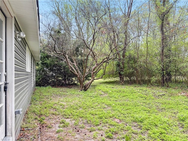 1013 Dare Rd, Yorktown, VA 23692 - view of yard