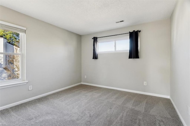 spare room with a healthy amount of sunlight, carpet floors, and a textured ceiling