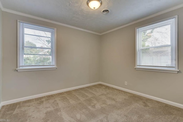 carpeted spare room with plenty of natural light and ornamental molding