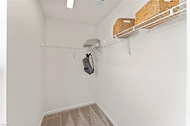 walk in closet with carpet floors