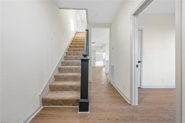 stairs with hardwood / wood-style floors