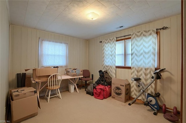 office area featuring carpet flooring and a healthy amount of sunlight