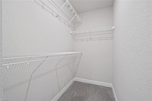 walk in closet with carpet