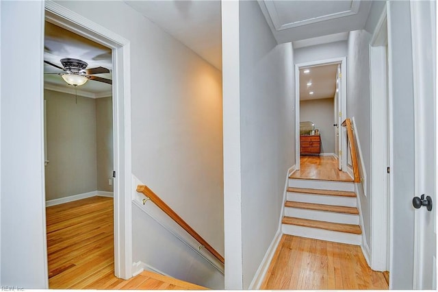 stairs with wood-type flooring and ornamental molding