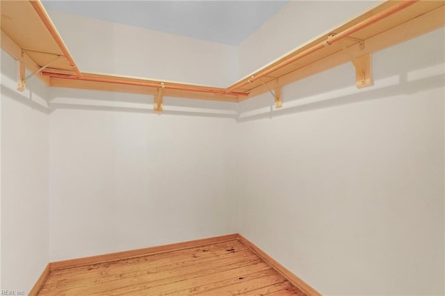 spacious closet featuring light wood-type flooring