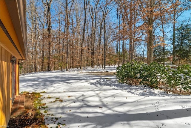 view of yard covered in snow