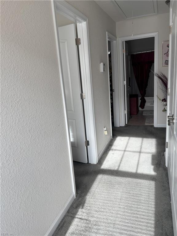 hallway with light carpet