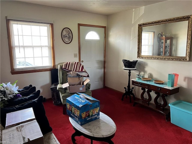 living area featuring carpet flooring