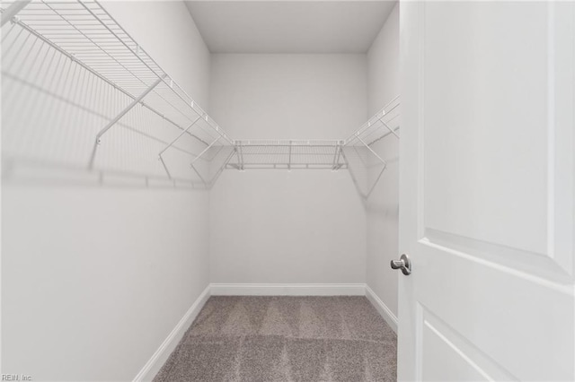1232 Treviso Bay, Williamsburg, VA 23188 - spacious closet with carpet flooring