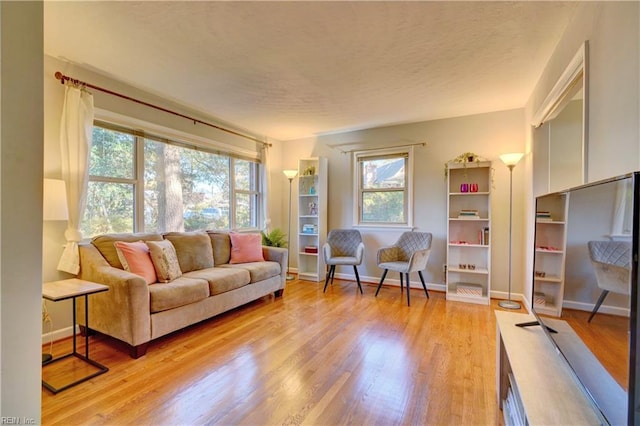 living room with light hardwood / wood-style flooring