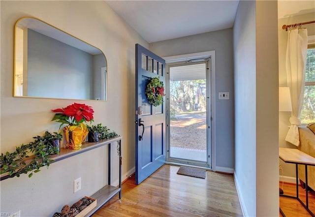 foyer entrance with light hardwood / wood-style floors