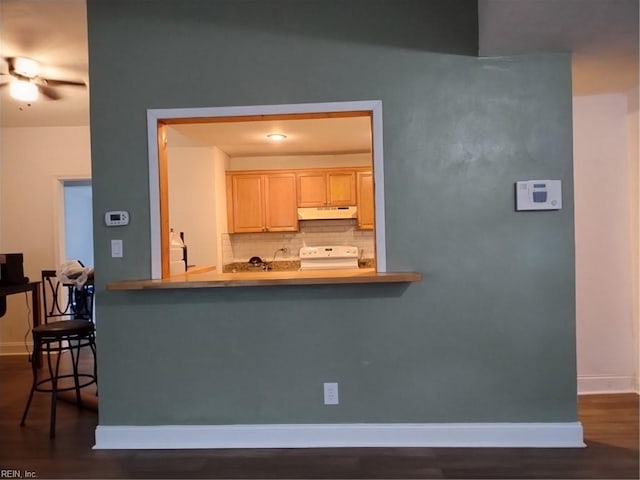 kitchen with dark hardwood / wood-style flooring, white range, backsplash, and light brown cabinetry