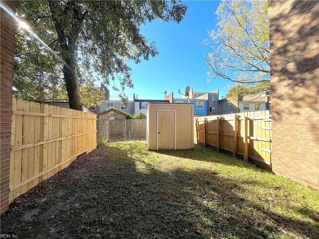 view of yard featuring a shed