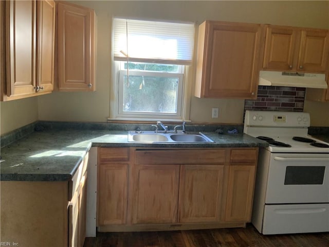 kitchen featuring white range with electric stovetop, sink, and dark hardwood / wood-style floors