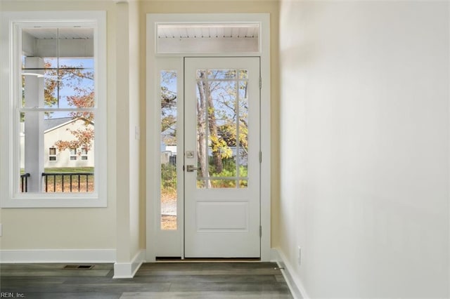 entryway with plenty of natural light and dark hardwood / wood-style floors