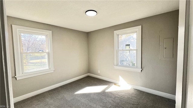 unfurnished room featuring carpet floors and electric panel