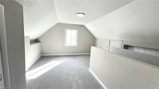 additional living space with carpet flooring, a textured ceiling, and lofted ceiling