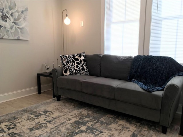 living room with a wealth of natural light and wood-type flooring