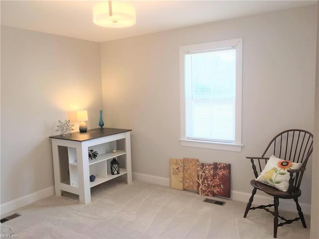 sitting room with light carpet and plenty of natural light