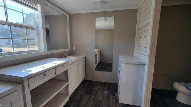 bathroom with hardwood / wood-style flooring, vanity, toilet, and a wealth of natural light